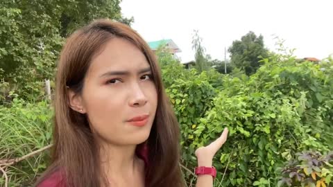 WANI - ❤️ 🇹🇭 👸 Thai Female Entrepreneurs 👸 🇹🇭 ❤️
