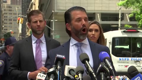 Don Jr.: This is a sham, it's insane, and it needs to stop...