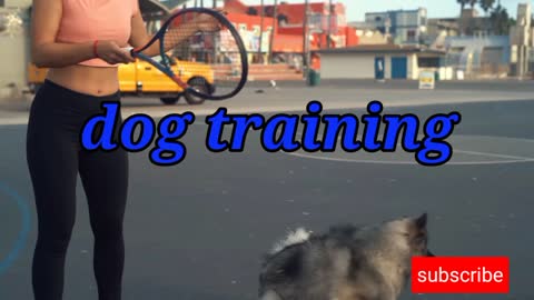 Dog training