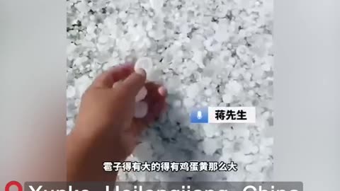 In villages in Heilongjiang Province, China, hailstones as large as egg yolks fell, damaging crops