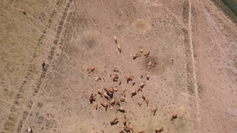 Aerial view of farm landscape near Torres del Rio, Spanish town along Way of Saint James