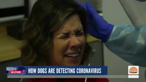 Airports Will Now Use Covid Sniffing Dogs - Nothing can go Wrong from Here