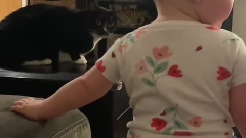 Toddler's Pretend Pain Confuses Kitty