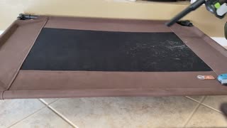Removing German Shepherd Fur from a Dog Cot