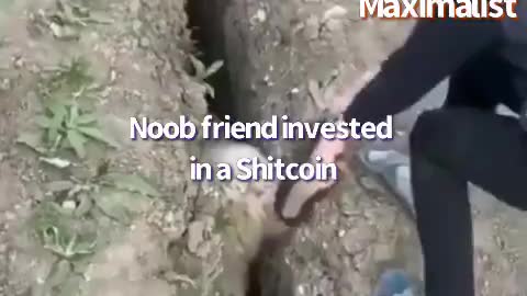 shit coins vs altcoin