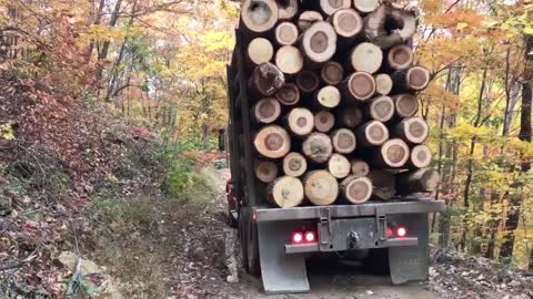 Scary Ride up a Mountain by a Logging Truck