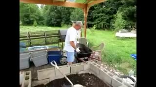 Harvesting worm castings on a large scale