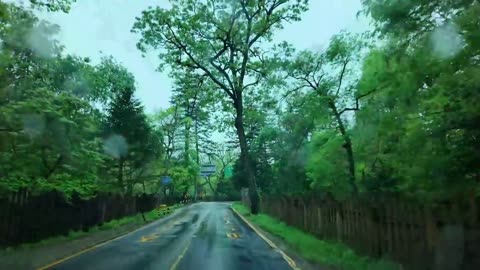 [.Rain Drive] Enjoy deep forest path in the rain. Rain sounds.