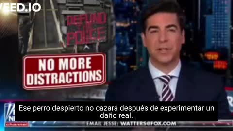 Fox News Jesse Waters ¿Por que diablos tanta gente inteligente es tan estúpida? Elite