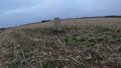 Found trig point in a farmer field. On the coast