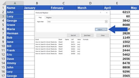 How to Search in Excel Sheet (From Basic to Advanced)