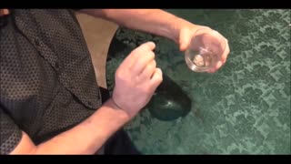 A Coin Passes Through The Side Of A Glass Tumbler