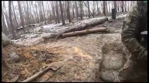 Brazilian volunteers repulse Russian attacks in the Serebrianka Forest, Donetsk.