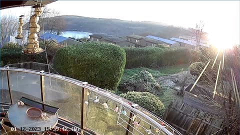 Saint Mary's cove Brixham and bird feeder