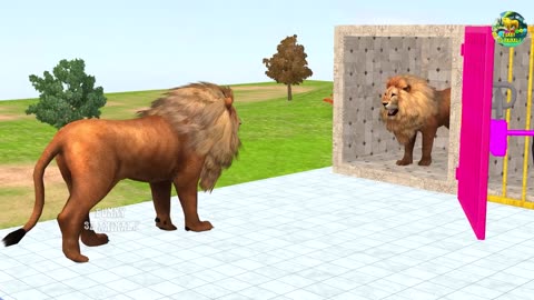 Choose_ The Right Cage Game, With Elephant_ Gorilla, Lion 🦁 Buffalo, Wild Animals Video