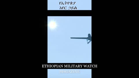 Ethiopian Current Military Strength