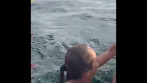 Humpback whale scares rowers