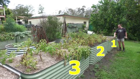 Different methods for growing potatoes