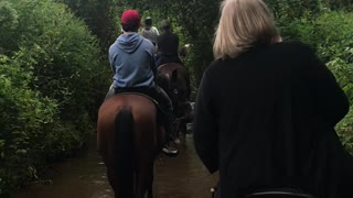 Horseback riding in the Appilacian Mountains - Georgia