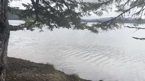 Shoreline Section Past The Cove – Timothy Lake – Mount Hood – Oregon – 4K