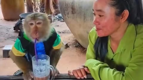 Funny monkey 🐒