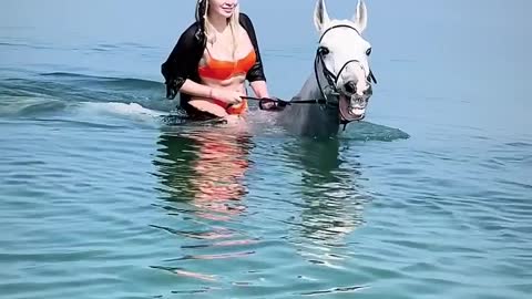 horses bathing in the sea