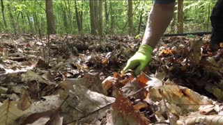 Metal detecting, 18 Enfield bullets