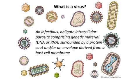 lecture #1 - What is a virus?