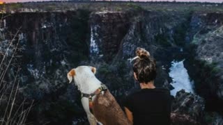 Woman Rescues A Dog In Africa And Travels The World With Her