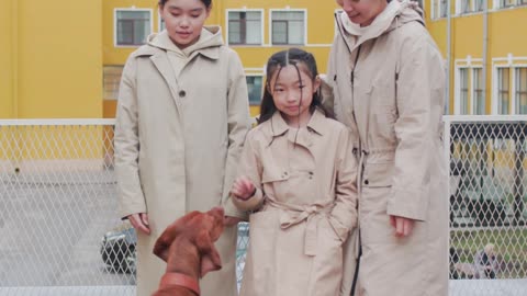 how happy the dog was after meeting his family