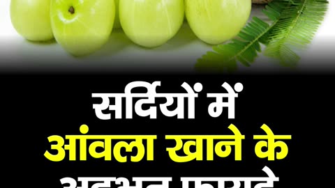 Amazing benefits of eating amla in winter