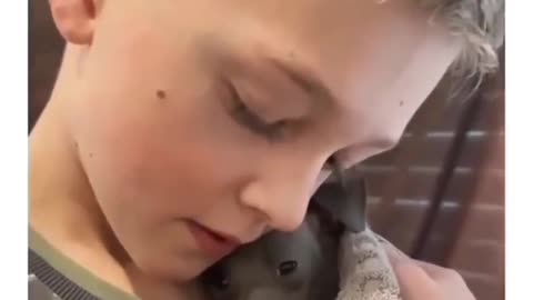 Boy comforting scared cute puppy