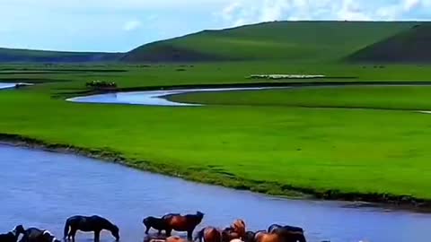 The grasslands and rivers are so beautiful