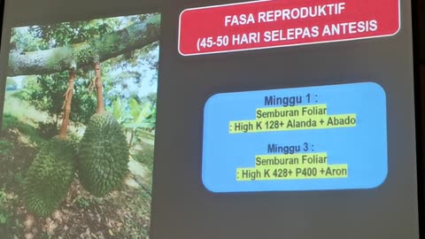 P18 Pembangunan Tanaman Durian, Mohd Ali Hanafiah, @Raub, 4 Jun 2024