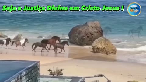 Seja a Justiça Divina em Cristo Jesus !