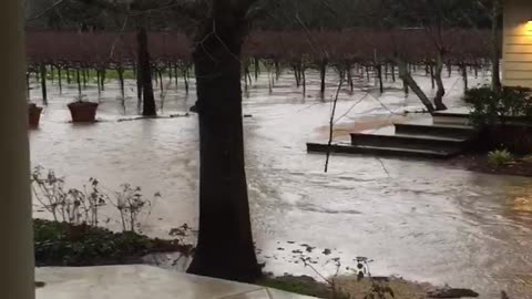 Napa (Oakville) Flooding 4