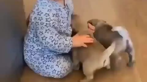 Puppys play with baby