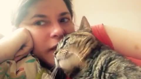 Talking cat says NO! to kisses on the he