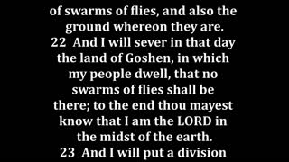 Exodus 8 King James version