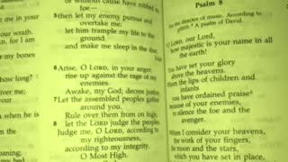 Psalm 7 NIV 1984