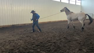 Zeke with Tim learning pecking order.