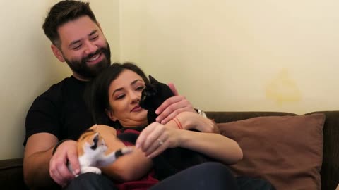 Close up on beautiful young couple in the living room relaxing and playing with their cats