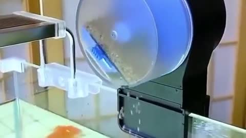 Automatic fish feeder