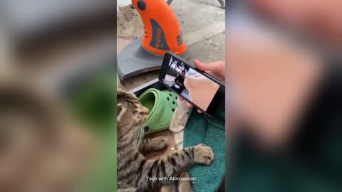 Funniest Cats And Dogs Videos 😁- best Funny Animal Videos 2024 🥰#