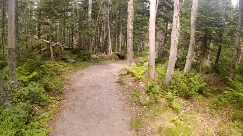 Walking the West Quoddy Coast Guard Trail Beginning West