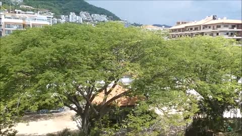 Puerto Vallarta, Mexico During the Year of the Plague