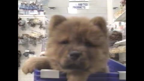 March 26, 1999 - Get a Puppy at Uncle Bill's