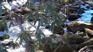 Gatlinburg River Number 20