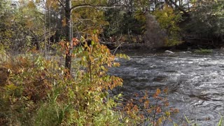 Wolf River Footage North of Menominee Indian Rez' Keshena Wisconsin