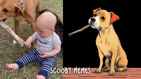 😂 Cat Memes: Baby and Dog Doing Fun Things Together 😂 Best Cats and Dogs Videos 😂